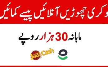 Earn Rs.30,000 per Month In 2025